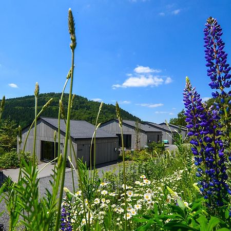 Sauerland Lodge - Haus Maxim Winterberg Luaran gambar