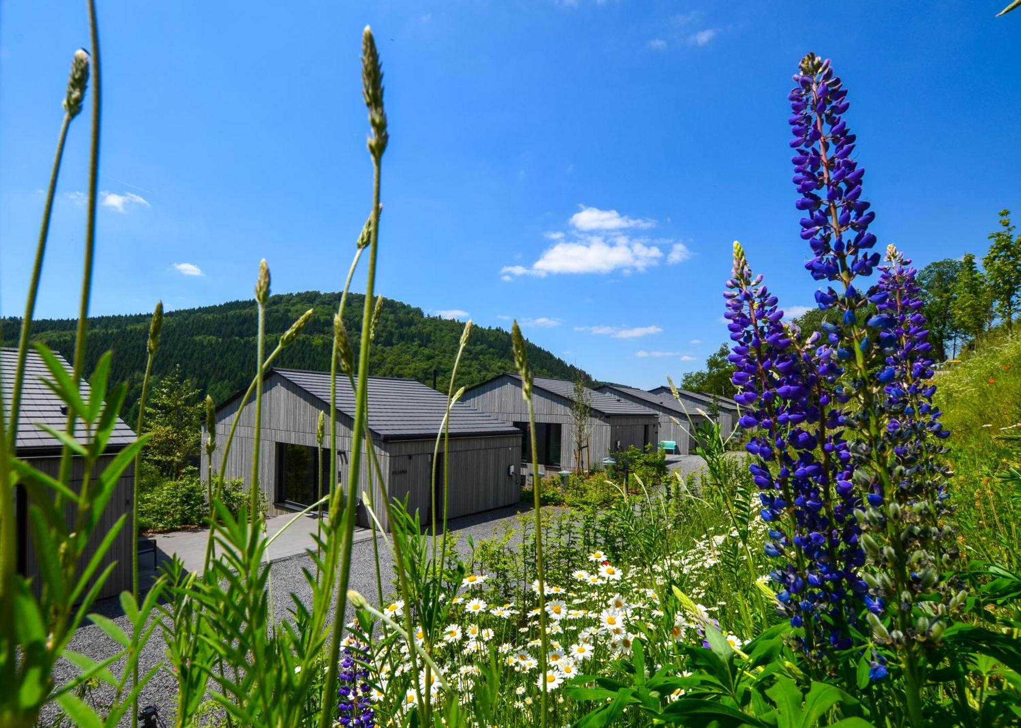 Sauerland Lodge - Haus Maxim Winterberg Luaran gambar
